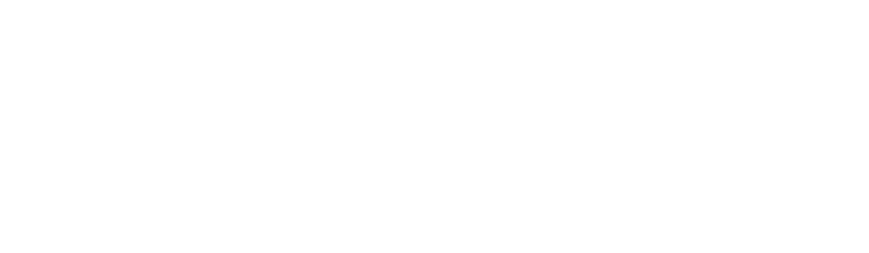 flyjeeves logo